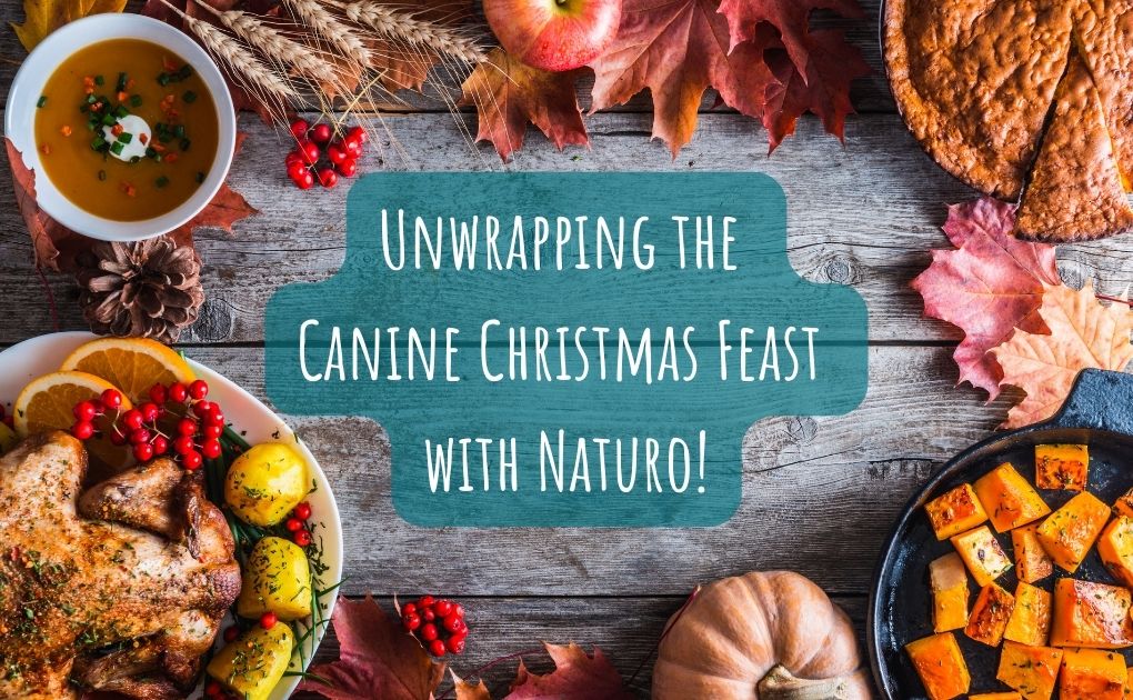 Yuletide Yummies: Unwrapping the Canine Christmas Feast with Naturo!