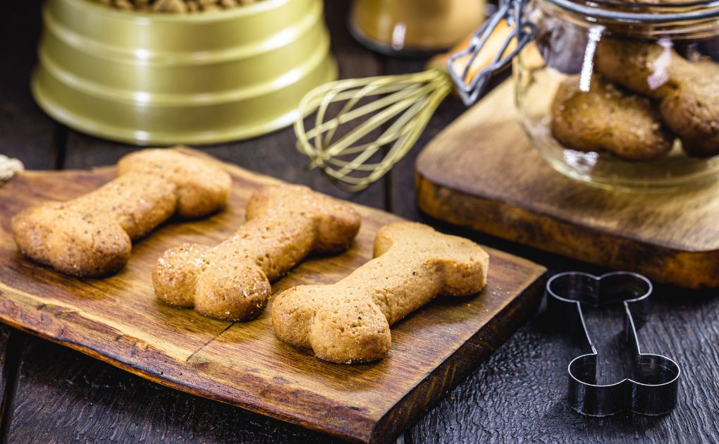 Homemade Pet Biscuits: Show Your Love with Wholesome Treats